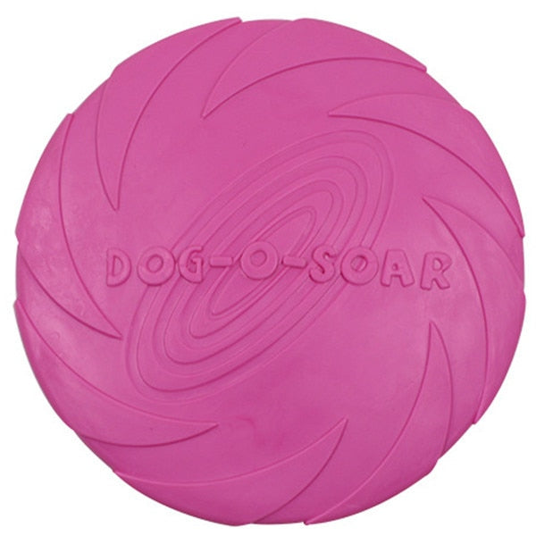 FlyChampion – Die robuste Hunde-Frisbee für Action, Spiel & Training