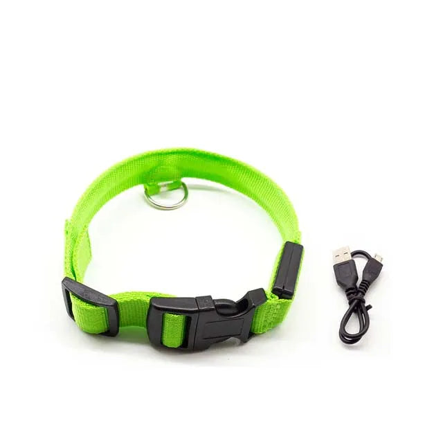 GlowSafe – Das leuchtende LED Halsband für sichere Spaziergänge