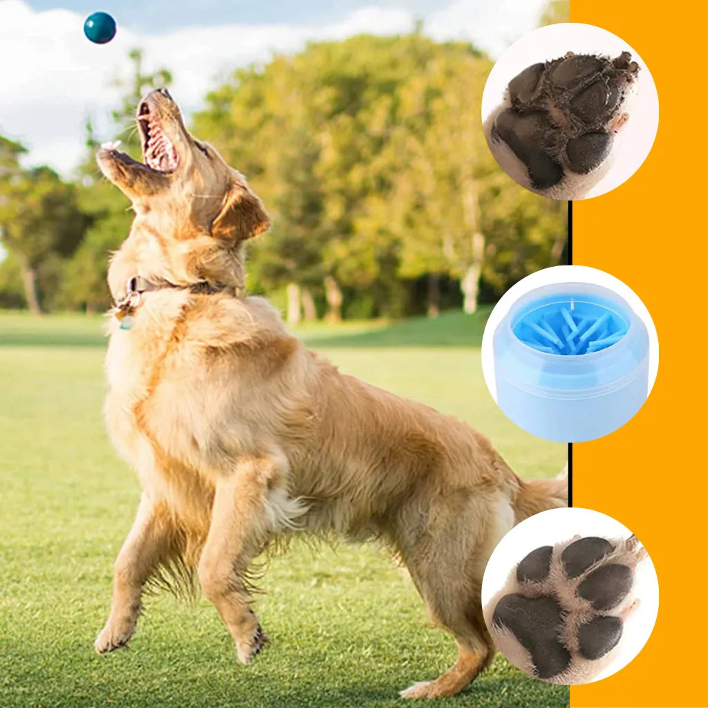 PawBuddy – Der sanfte Pfotenreiniger für saubere & glückliche Hunde