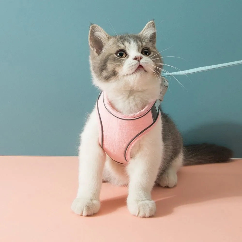 SafeCat– Sicheres & Ausbruchsicheres Katzengeschirr mit Leine
