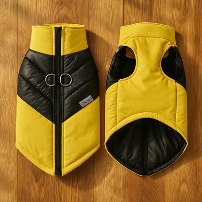Winter Hundemantel mit D-Ring | Wasserdichte & Warme Hundejacke