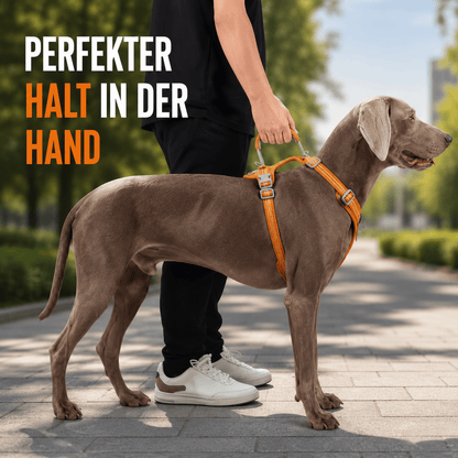 Hundegeschirr mit Griff & Reflektor | Verstellbares Hundegeschirr