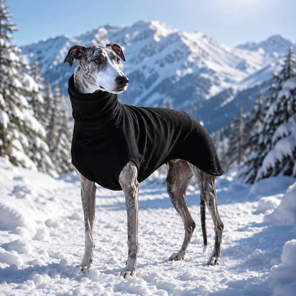Winddichter Hundemantel mit Rollkragen für Windhunde