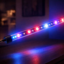 Lampe LED étanche pour aquarium | 3 modes UE