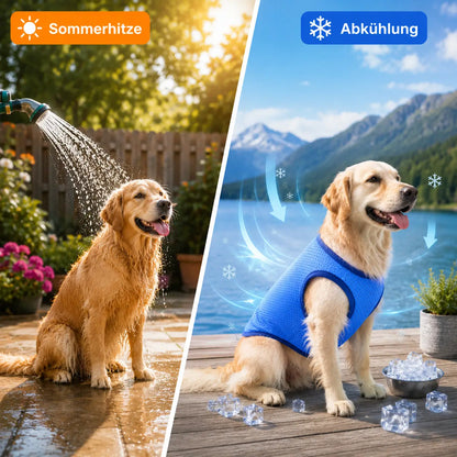 Hunde Kühlweste | Atmungsaktive Kühlweste für heiße Sommertage