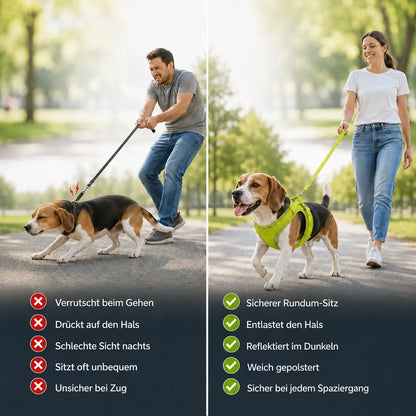 Hundegeschirr mit Leine | Reflektierend & Verstellbar