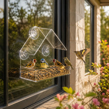 Vogelfutterhaus für Fenster aus Acryl mit Saugnäpfen Transparent