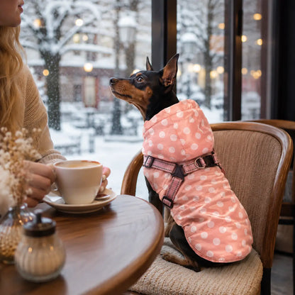 Hundemantel wasserdicht | Jacke mit integriertem Geschirr