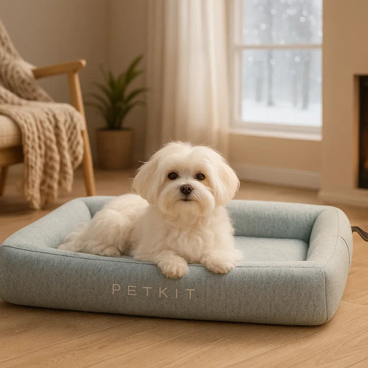 Hundebett mit Memory Foam | Waschbares & Formstabiles Komfortbett