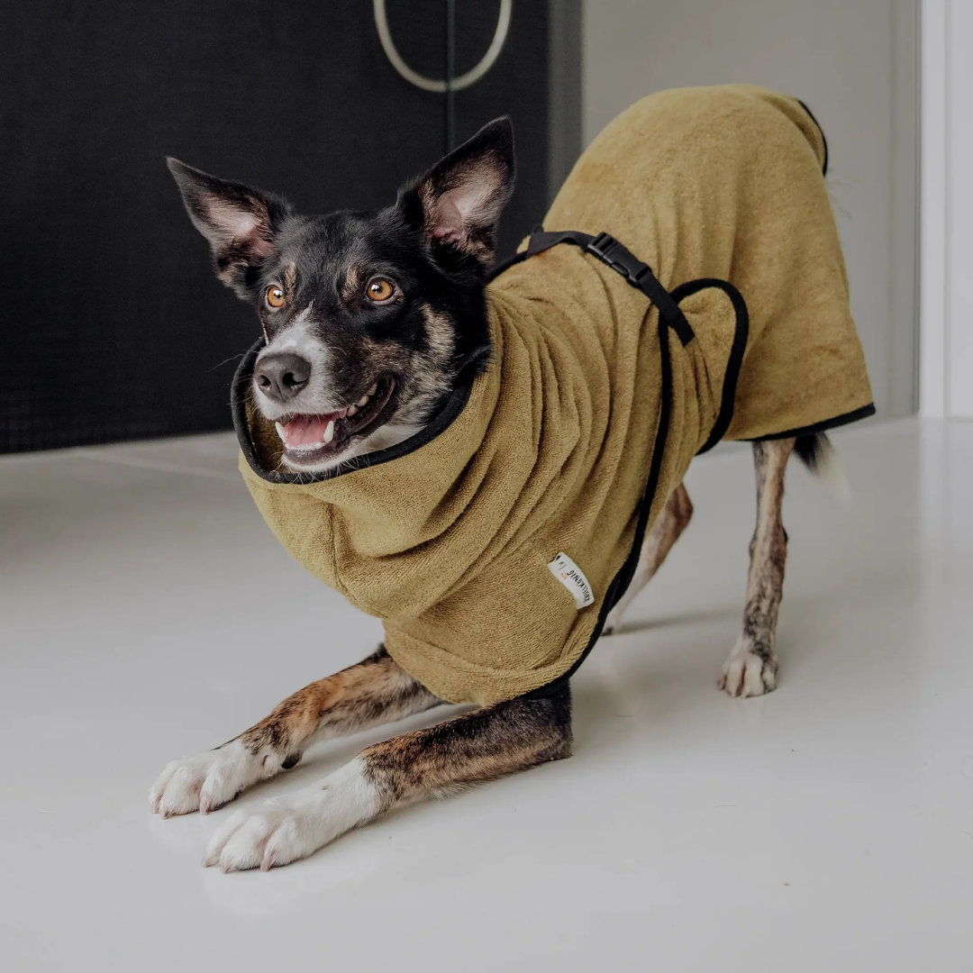 TrockenBuddy – Der super saugfähige Hunde-Bademantel aus Frottee-Baumwolle
