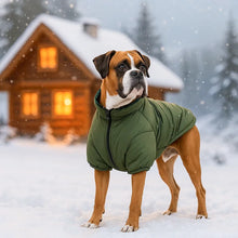Winter Dog Coat for Large Dogs | Windproof & Warm Cotton Jacket
