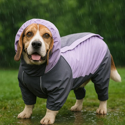 Wasserdichter Hundemantel | Wetterschutz für Kurzbeinige Hunde