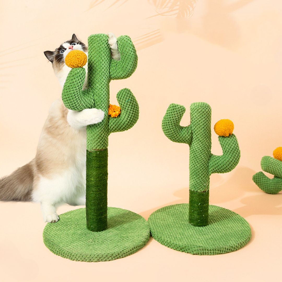 KratzKaktus – Der stylische Kratzbaum, der Krallen pflegt und deine Wohnung aufwertet