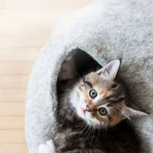 SnuggleCave Filzhöhle für Katzen