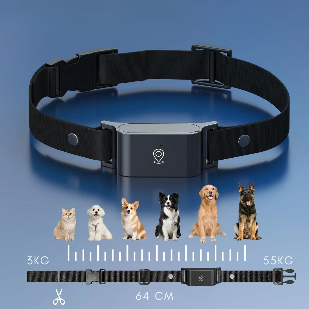 SicherSpur – GPS-Tracker mit 4G & App für Hunde & Katzen