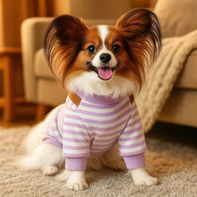 Dog Clothing & Dog Coat with Suspenders | Comfortable & Stylish