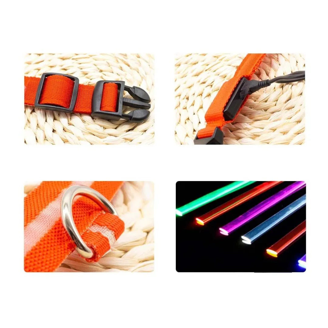 GlowSafe – Das leuchtende LED Halsband für sichere Spaziergänge