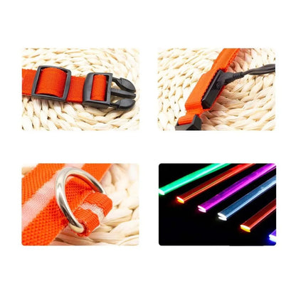 GlowSafe – Das leuchtende LED Halsband für sichere Spaziergänge