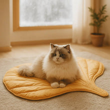 Double-sided cat blanket | soft, durable & easy to clean