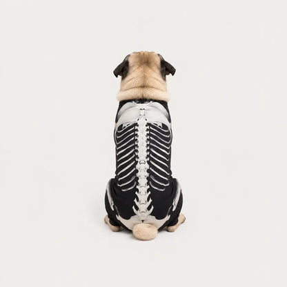 Halloween Partnerlook Set | Skelett Kostüm für Hund & Mensch