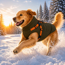 Wasserdichter Winter-Hundemantel | Warme Hundejacke mit Geschirr