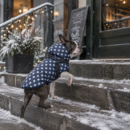 Hundemantel wasserdicht | Jacke mit integriertem Geschirr