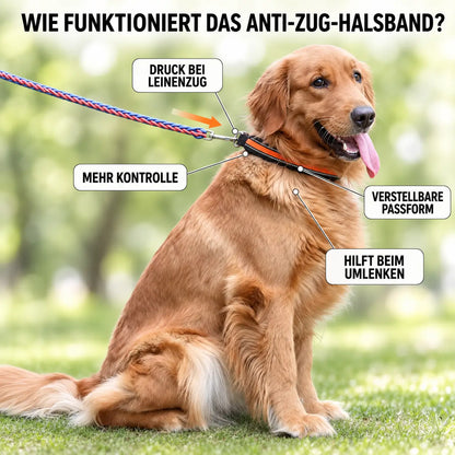 Anti-Zug Hundehalsband | Sanfte Kontrolle & Training
