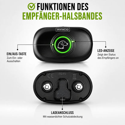 Anti-Bell Hunde Halsband mit Fernbedienung | Wasserdicht & USB