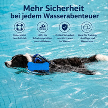 Hundeschwimmweste Vorteile 