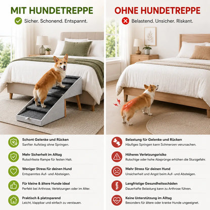 Hundetreppe Problem & Lösung