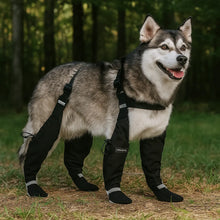 PfotenBuddy – Chaussures antidérapantes pour chiens pour protection par tous les temps