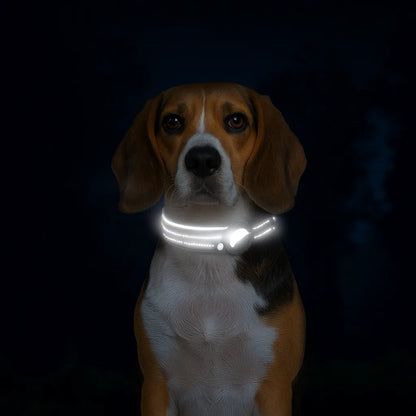 SafePaw – Das stilvolle AirTag Hundehalsband für maximale Sicherheit unterwegs