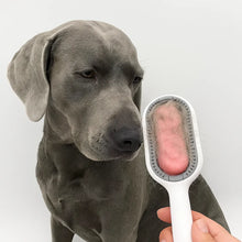 Pet hair brush for furniture, clothing & coat care – 2-in-1 silicone brush for dogs & cats