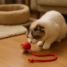 Interactive Cat Toy with Movement | For Active, Happy House Cats