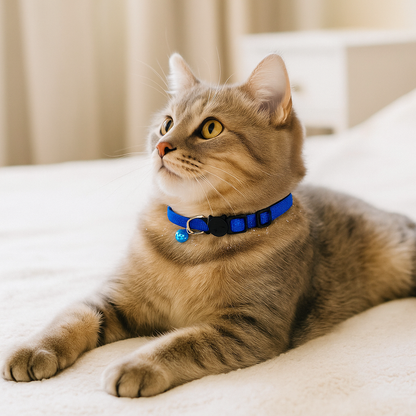 Katzenhalsband mit Sicherheitsverschluss & Glöckchen – Verstellbar & leicht für Freigänger