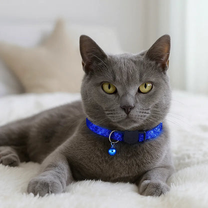 Katzenhalsband mit Sicherheitsverschluss & Glöckchen | Verstellbar