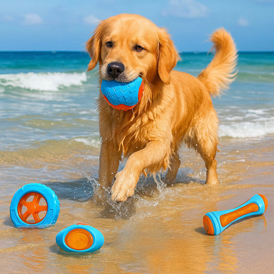 Hundespielzeug aus Naturgummi für starke Kauer – Zahnpflege, Stressabbau & Wasserspaß in einem