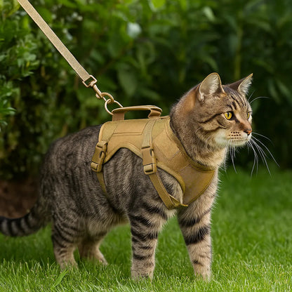 Katzengeschirr mit Leine | Ausbruchsicher, gepolstert & verstellbar