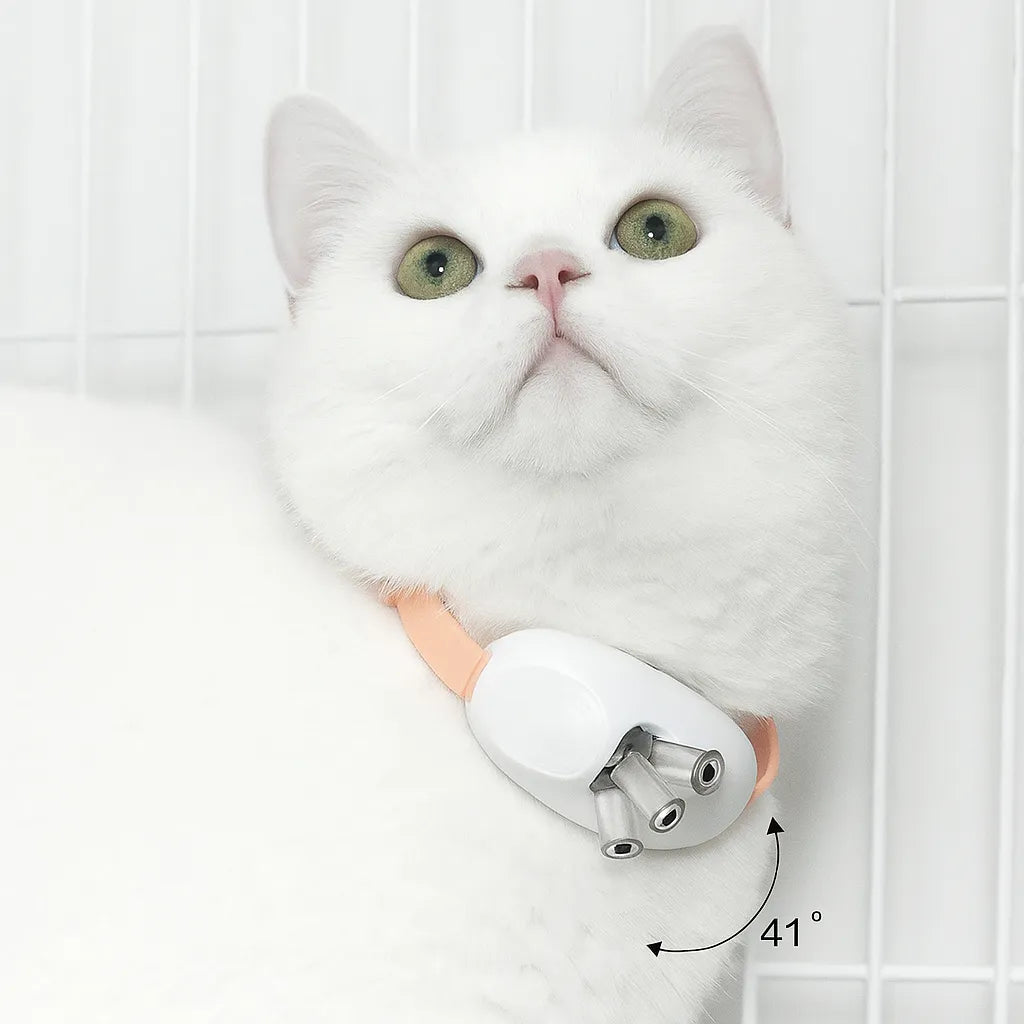 LED-Laser-Halsband für Katzen – Interaktives Spielzeug zur Bewegung & mentalen Auslastung