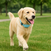 Traceur GPS pour chiens & chats avec localisation en temps réel