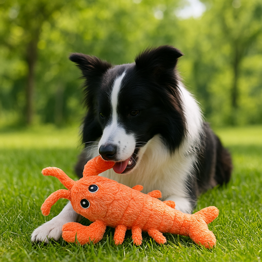 Interaktives Haustierspielzeug mit Bewegung – vibrierender Plüsch-Hummer für Katzen & Hunde
