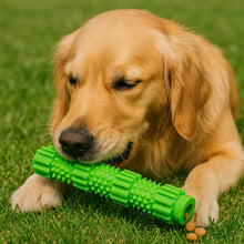 Jouet à mâcher en caoutchouc pour chien | Rechargeable & résistant à la mastication