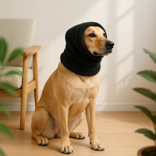 Dog Hat with Noise Protection | Soft Headwear for Dogs