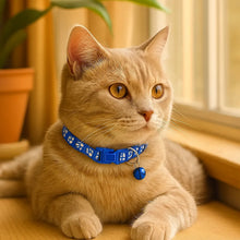 Adjustable cat collar with bell made of soft nylon – stylish & safe for indoor cats