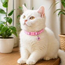 Adjustable cat collar with bell made of soft nylon – stylish & safe for indoor cats