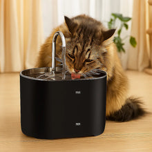Fontaine à eau pour chats avec filtre & pompe | Fontaine à eau silencieuse