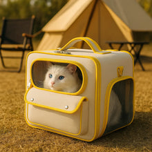 Foldable transport bag for cats & small dogs