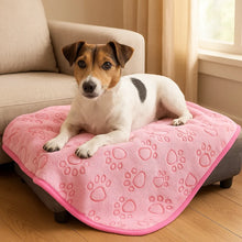 Cozy blanket for dogs & cats | Soft pet blanket & furniture protector