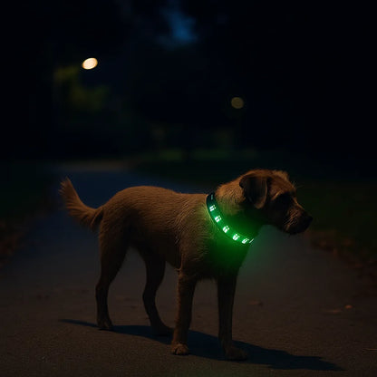 LED Hundehalsband für bessere Sichtbarkeit bei Nacht & Spaziergängen im Dunkeln