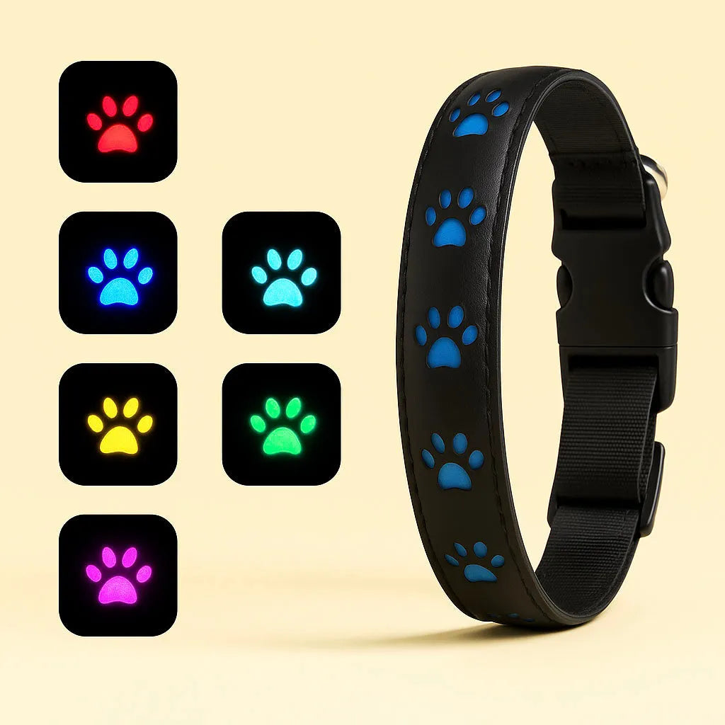 LED Hundehalsband für bessere Sichtbarkeit bei Nacht & Spaziergängen im Dunkeln